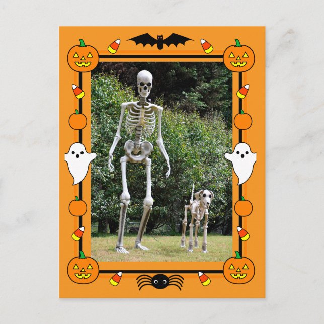 Cartão Postal De Festividades Feliz Esqueleto de Halloween (Frente)