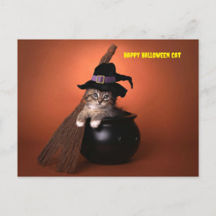 Cartão Postal De Festividades Feliz Gato de Halloween
