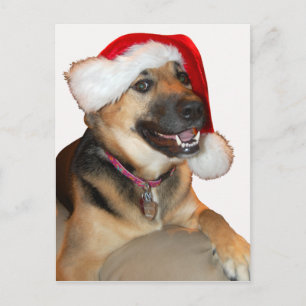 Cartão Postal De Festividades Feliz German shepherd de Natal