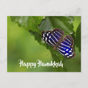 Cartão Postal De Festividades Feliz Hanukkah, azul e borboleta branca
