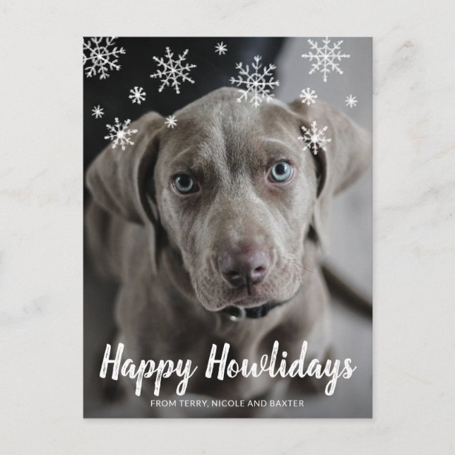 Cartão Postal De Festividades Feliz Howlidays Chalk Script Snowflakes Foto Cão (Frente)