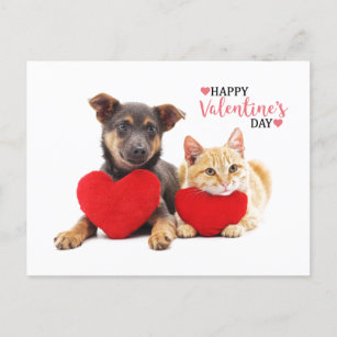 Cartão Postal De Festividades Feliz Namorados Cão e Gato