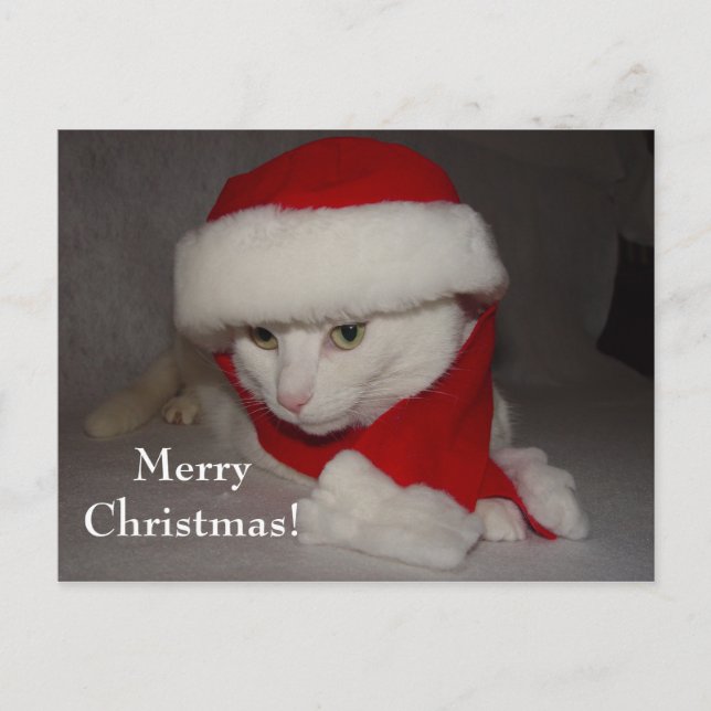 Cartão Postal De Festividades Feliz Natal! (Frente)