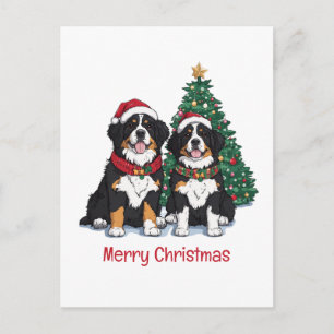 Cartão Postal De Festividades Feliz Natal Bernese Mountain Dogs
