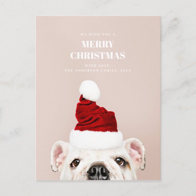 Cartão Postal De Festividades Feliz Natal. Cachorro bonito. Papai Noel Animal (Frente)