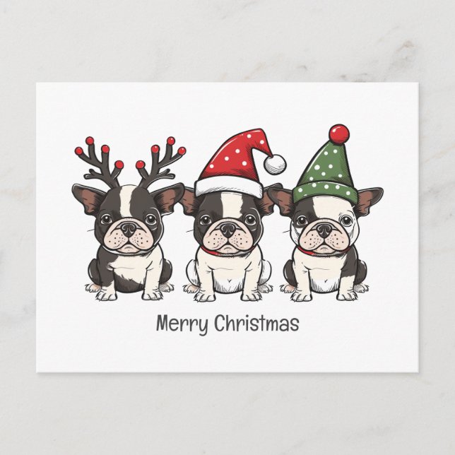 Cartão Postal De Festividades Feliz Natal Cachorros Boston Terrier (Frente)