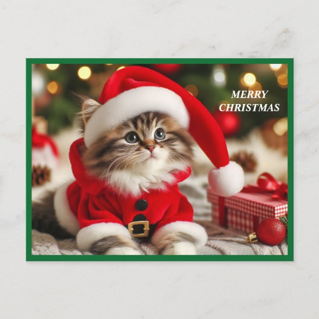 Cartão Postal De Festividades Feliz Natal Cat (Frente)