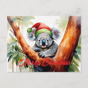 Cartão Postal De Festividades Feliz Natal Coala sentado na Gumtree