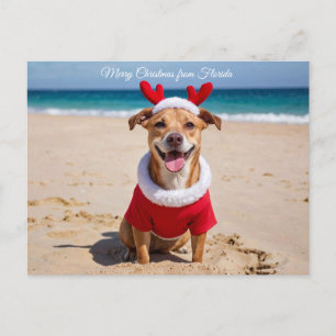 Cartão Postal De Festividades Feliz Natal da Praia da Flórida