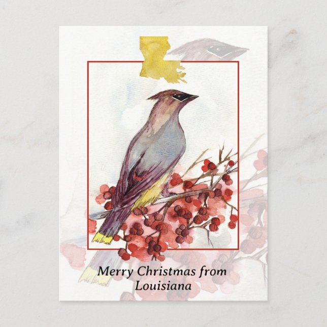 Cartão Postal De Festividades Feliz Natal de Louisiana Cedar Waxwing Bird (Frente)