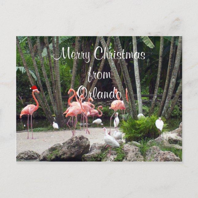 Cartão Postal De Festividades Feliz Natal de Orlando (Frente)