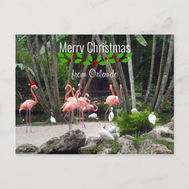Cartão Postal De Festividades Feliz Natal de Orlando - Flamingos Rosa (Frente)