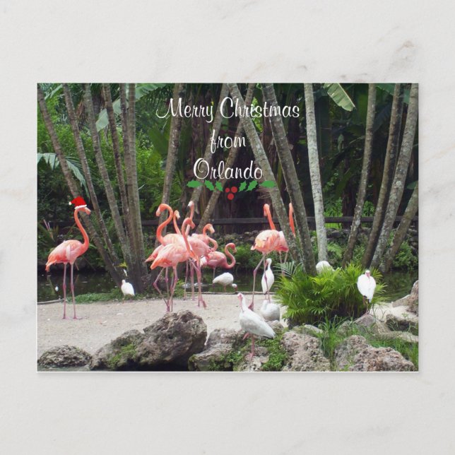Cartão Postal De Festividades Feliz Natal de Orlando - Flamingos Rosa (Frente)