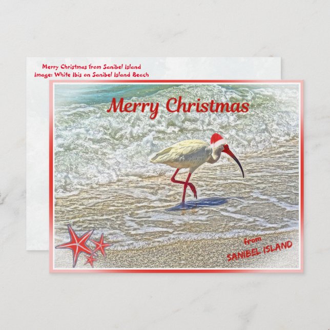 Cartão Postal De Festividades Feliz Natal de Sanibel Island FL White Ibis (Frente/Verso)