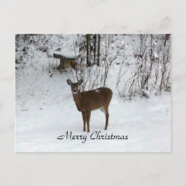 Cartão Postal De Festividades Feliz Natal Deer