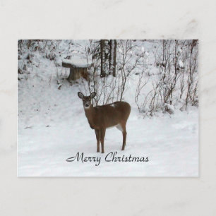Cartão Postal De Festividades Feliz Natal Deer