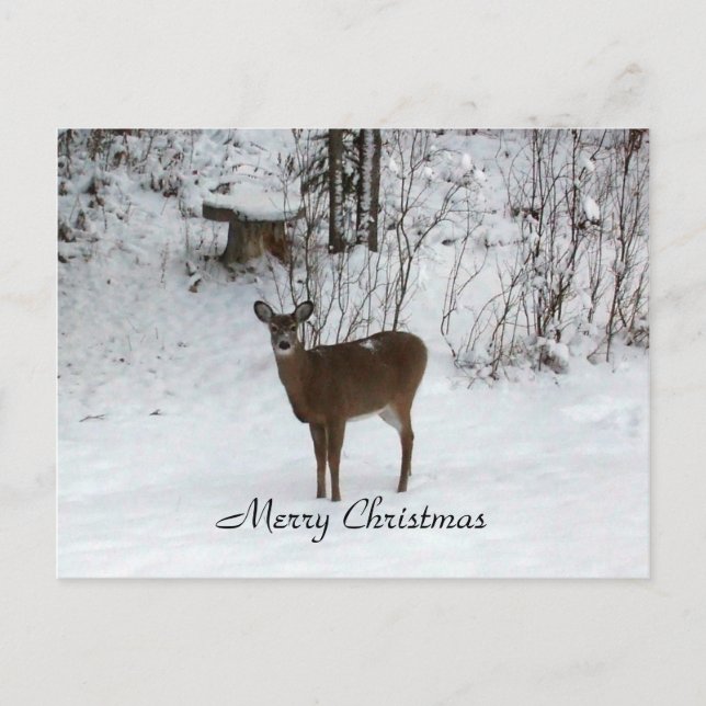 Cartão Postal De Festividades Feliz Natal Deer (Frente)