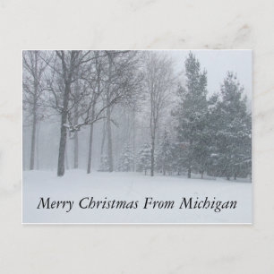 Cartão Postal De Festividades Feliz Natal do Michigan Winter Snow Postca
