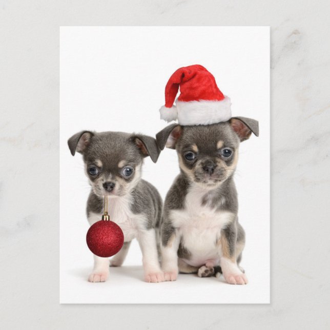 Cartão Postal De Festividades Feliz Natal E Feliz ano novo (Frente)