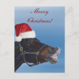 Cartão Postal De Festividades Feliz Natal engraçado do pônei