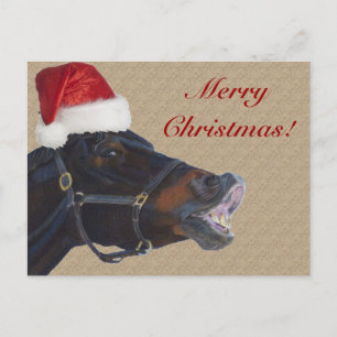 Cartão Postal De Festividades Feliz Natal engraçado do pônei