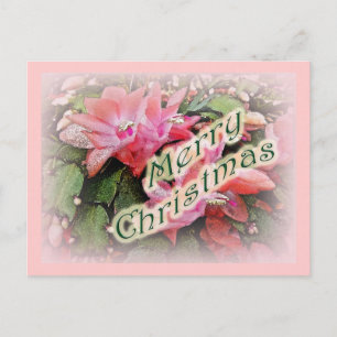 Cartão Postal De Festividades Feliz Natal Flores de Cactus
