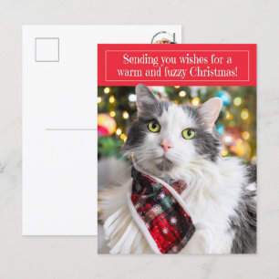 Cartão Postal De Festividades Feliz Natal Gatinho Fofo com Cachecol de Festa