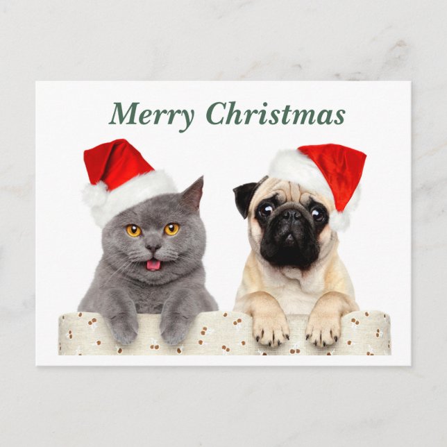Cartão Postal De Festividades Feliz Natal Gato e Cachorro (Frente)