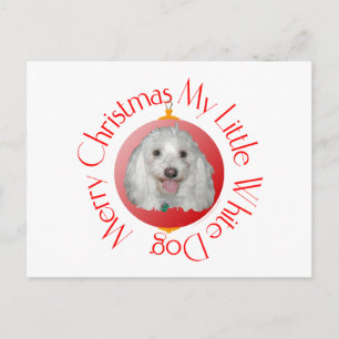 Cartão Postal De Festividades Feliz Natal Havanese