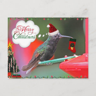 Cartão Postal De Festividades Feliz Natal Hummingbird
