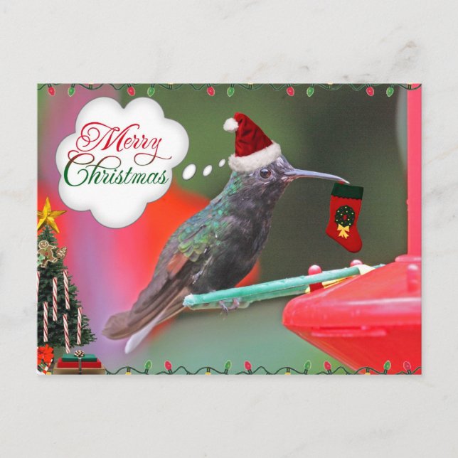 Cartão Postal De Festividades Feliz Natal Hummingbird (Frente)