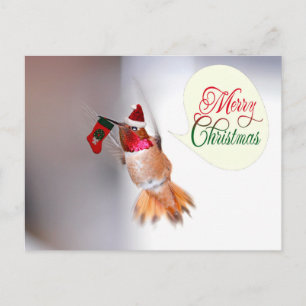 Cartão Postal De Festividades Feliz Natal Hummingbird com Xmas Stocks