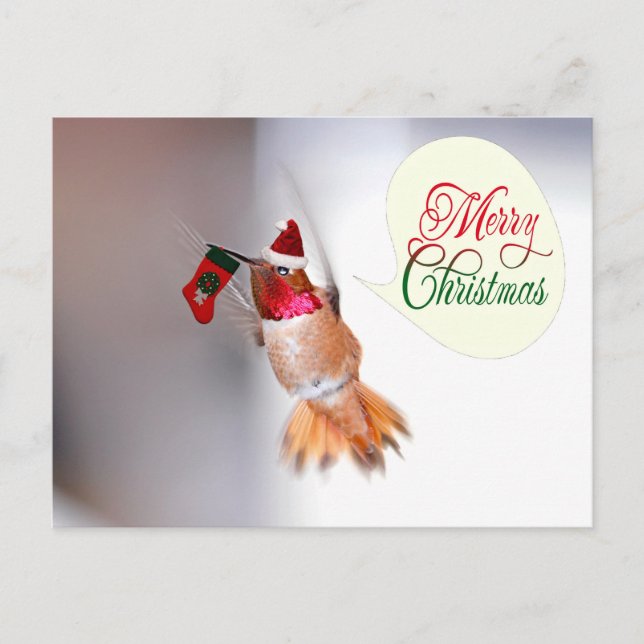 Cartão Postal De Festividades Feliz Natal Hummingbird com Xmas Stocks (Frente)