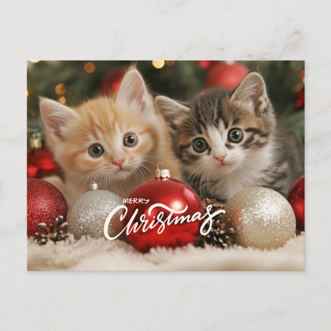 Cartão Postal De Festividades Feliz Natal Kittens e Ornamentos (Frente)