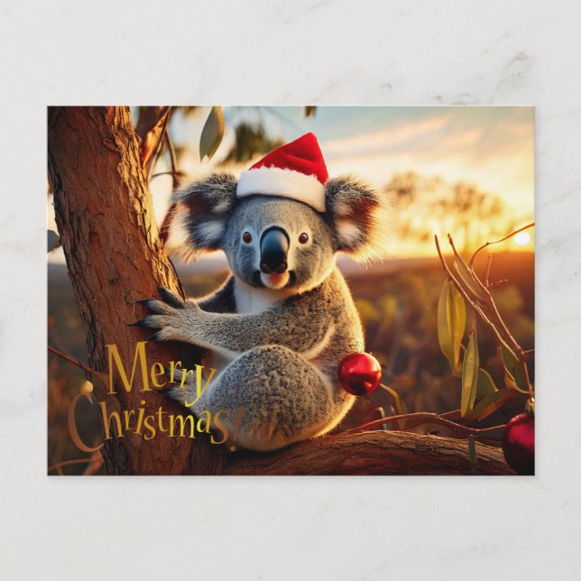 Cartão Postal De Festividades Feliz Natal Koala sentado em Gumtree (Frente)