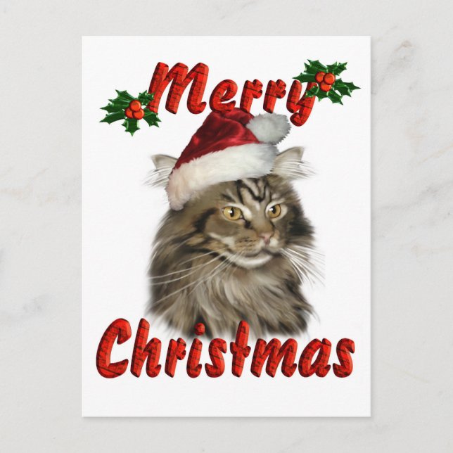 Cartão Postal De Festividades Feliz Natal Maine Coon Cat (Frente)