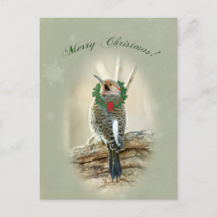Cartão Postal De Festividades Feliz Natal - Norte Flicker