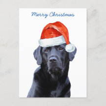 Feliz Natal Papais noeis Cachorros Bonitos Labrado