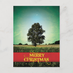 Cartão Postal De Festividades Feliz Natal - Para Os Céus