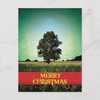 Cartão Postal De Festividades Feliz Natal - Para Os Céus