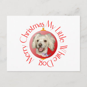 Cartão Postal De Festividades Feliz Natal Pequeno Poodle de Cachorro Branco / Bi