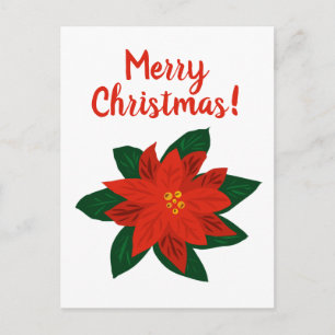 Cartão Postal De Festividades Feliz Natal - Poinsettia vermelha desenhando cartõ