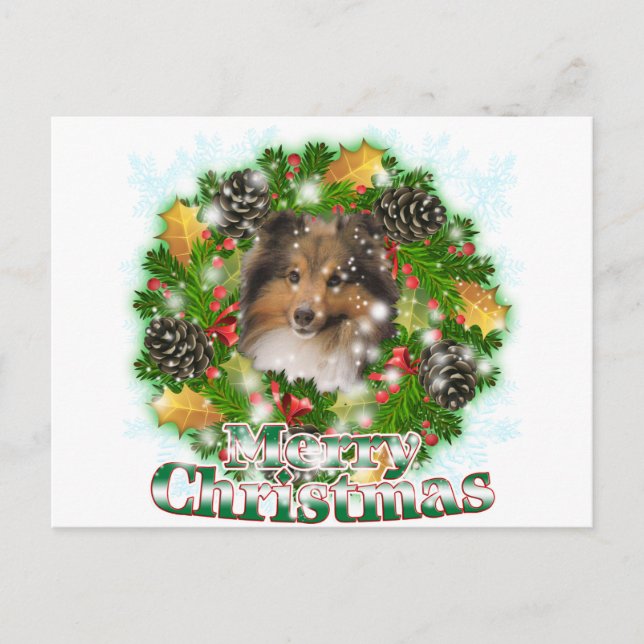 Cartão Postal De Festividades Feliz Natal Sheltie (Frente)