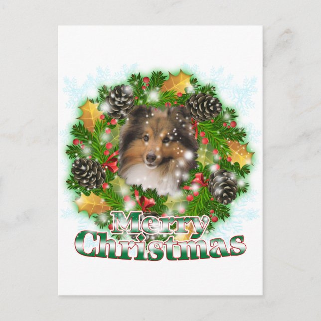 Cartão Postal De Festividades Feliz Natal Sheltie (Frente)