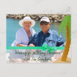 Cartão Postal De Festividades Feliz Natal Snowbird Engraçado Palm Tree Card