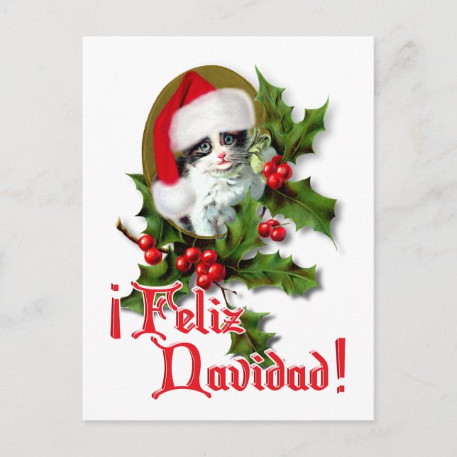 Cartão Postal De Festividades Feliz Navidad - Christmas Kitten (Frente)