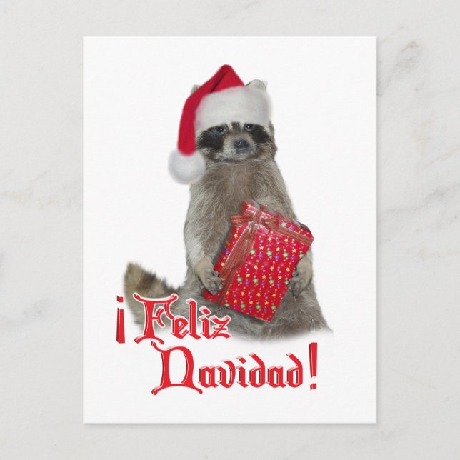 Cartão Postal De Festividades Feliz Navidad - Christmas Raccoon Bandit (Frente)