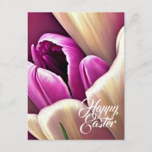 Cartão Postal De Festividades Feliz Páscoa Bela Postcard de Tulipas da Primavera