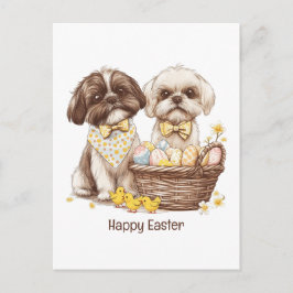 Cartão Postal De Festividades Feliz Páscoa Shih Tzu Dogs