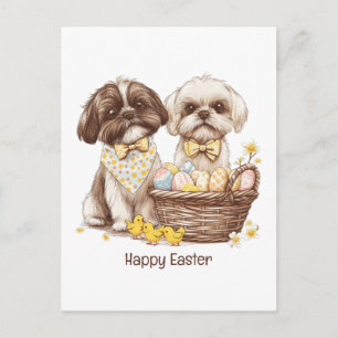 Cartão Postal De Festividades Feliz Páscoa Shih Tzu Dogs